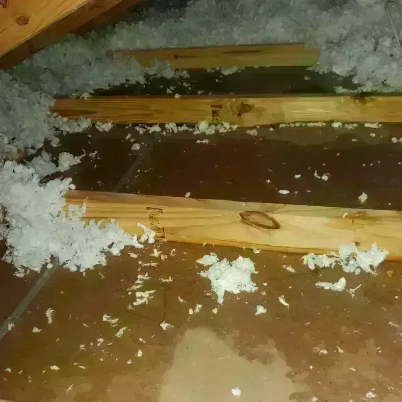 Attic Water Damage in Commerce, OK