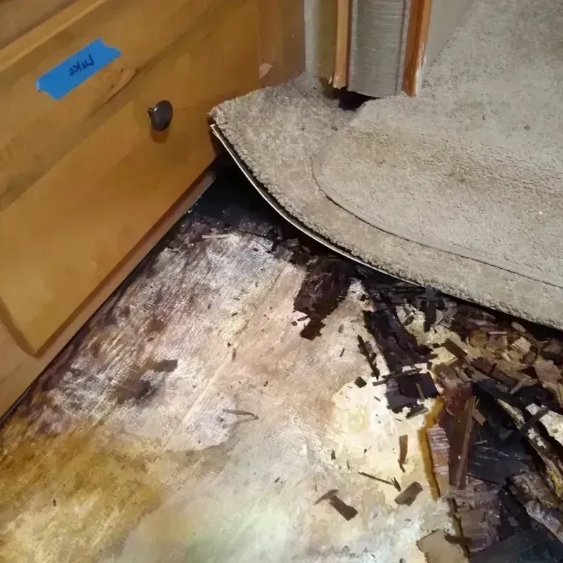 Wood Floor Water Damage in Commerce, OK